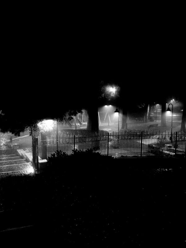 26 - CIMINI FABRIZIO_R016443