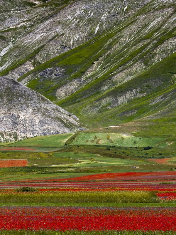 Castelluccio 1