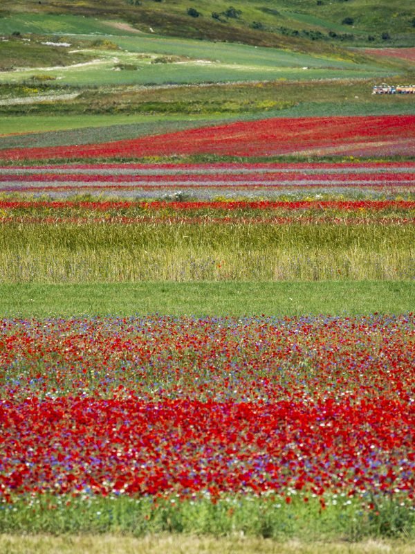 Castelluccio 4