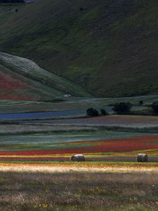 Castelluccio 5